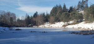 23rd Solar Term How Harmful for Seniors and Weak People