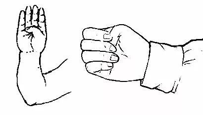 grip for kidney health