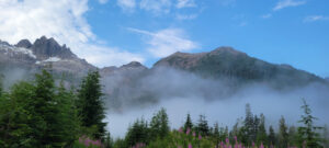 Rheumatoid Arthritis Nanaimo: How Acupuncture & Moxibustion Relieve Winter Pain