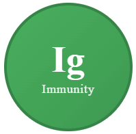 Immunity TCM Nanaimo